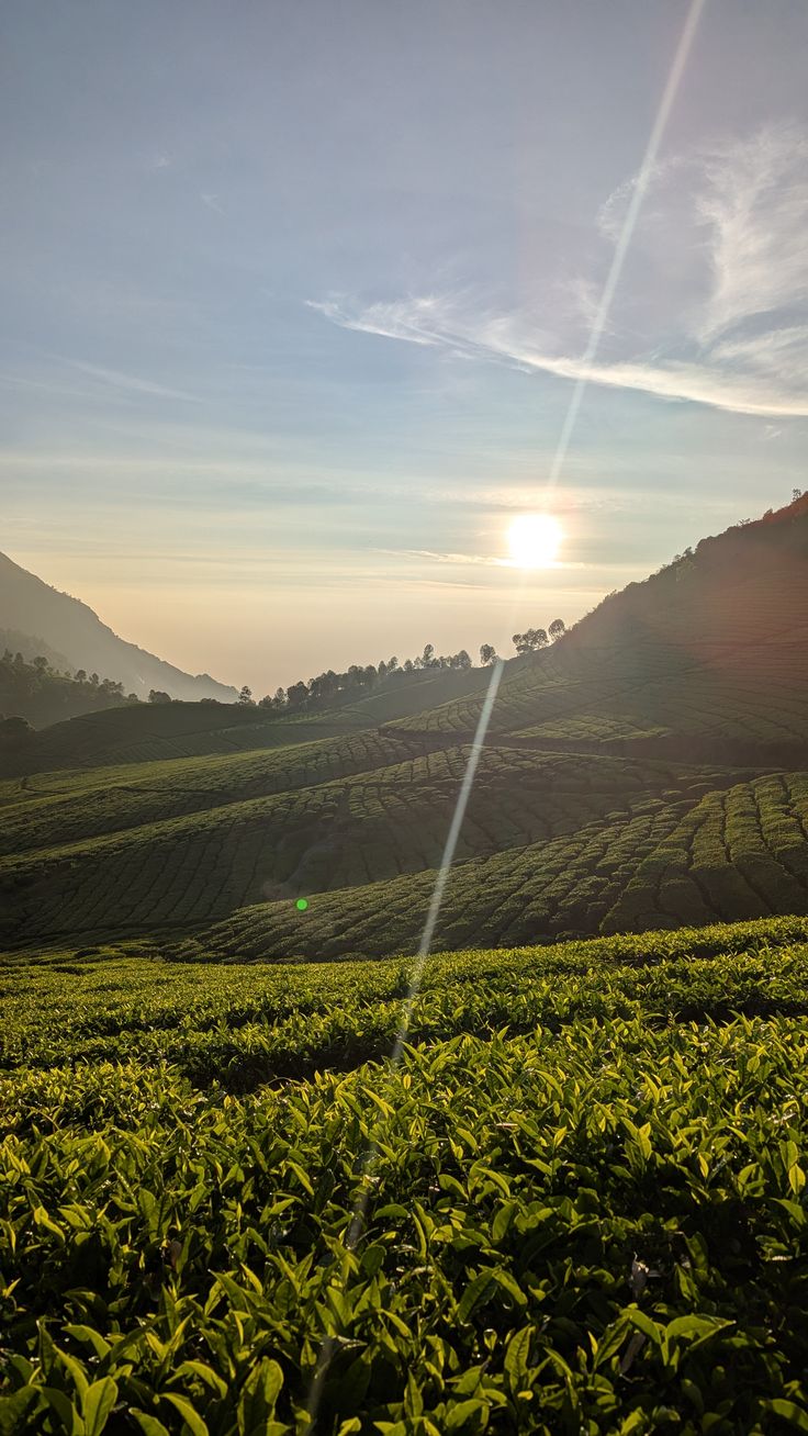 2e07b0ae15f2229f7588d6e26c2b12d0