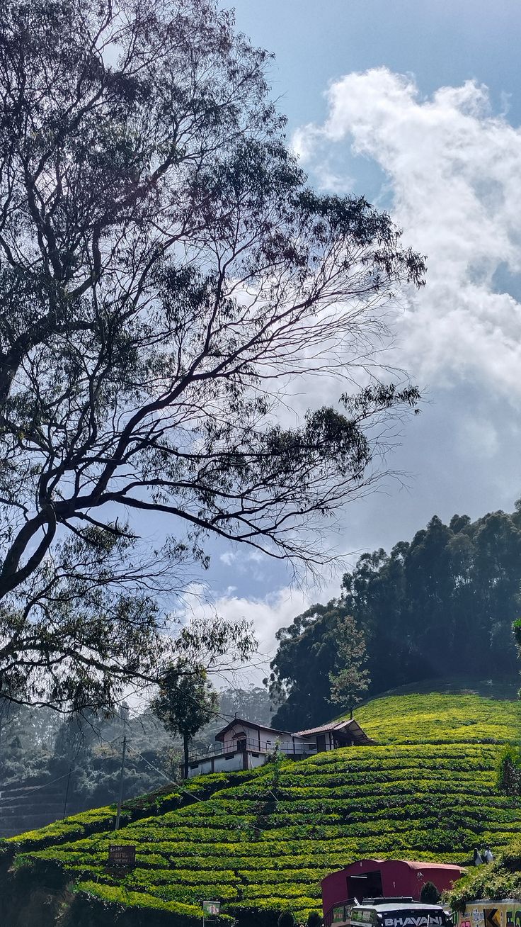 65d04198b1ed98137b0f501b5f442dd1