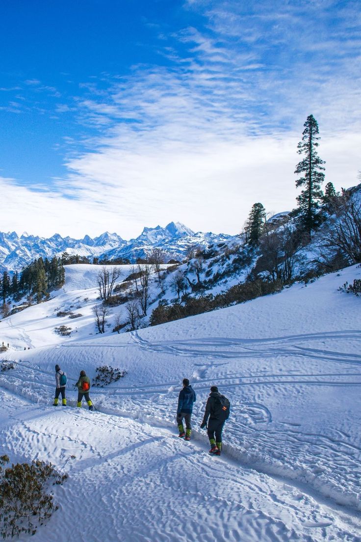 3cc851d7197be4ca8d0fa46a899c32c6